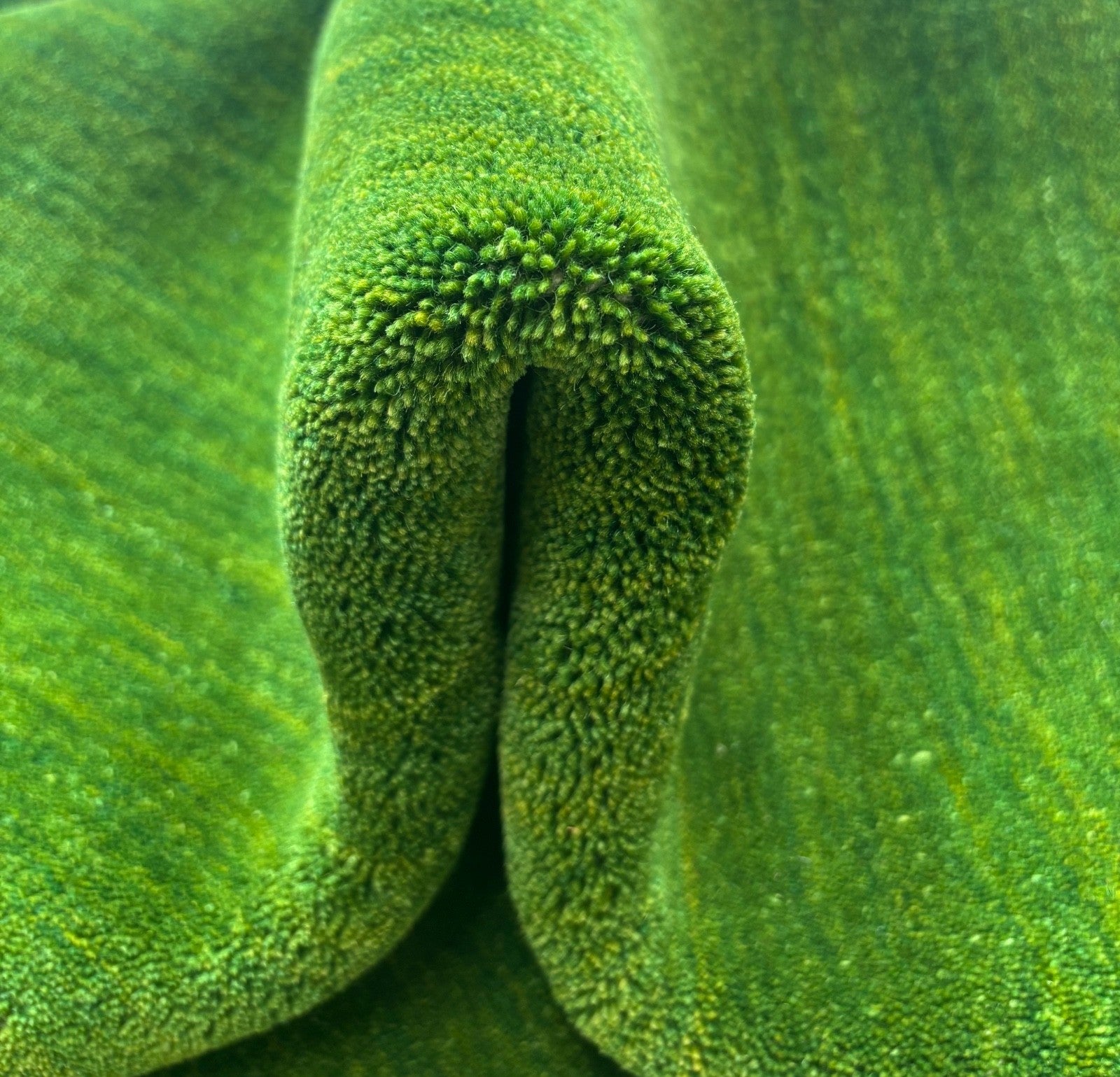 Orientteppich Gabbeh Loom Handgefertigt Teppich 100% Wolle 170X240 CM Grün