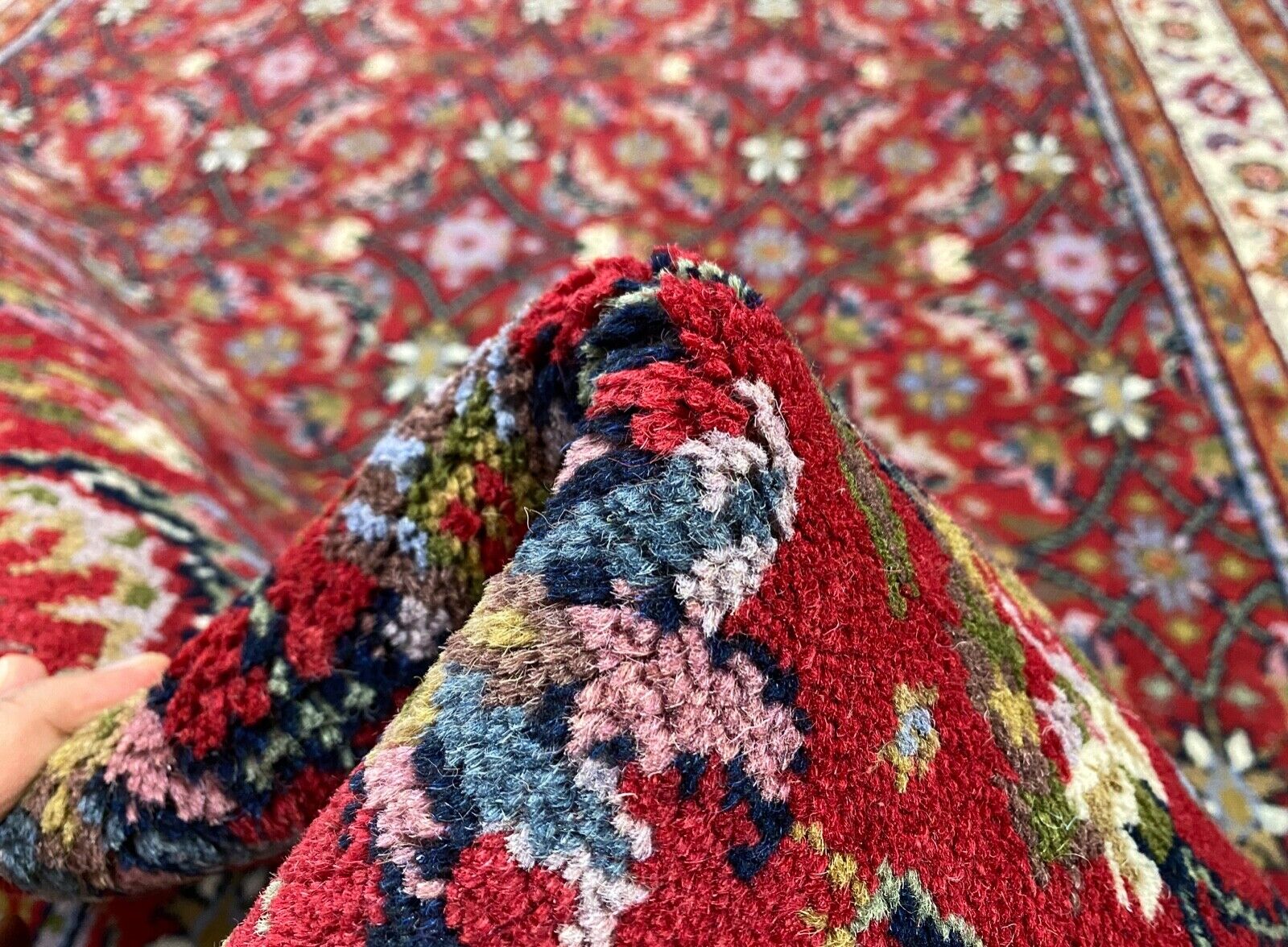 Tapis oriental Red Carpet en laine, noué à la main, 100 % laine vierge, 155 x 245 cm, diamètre 16 pouces.