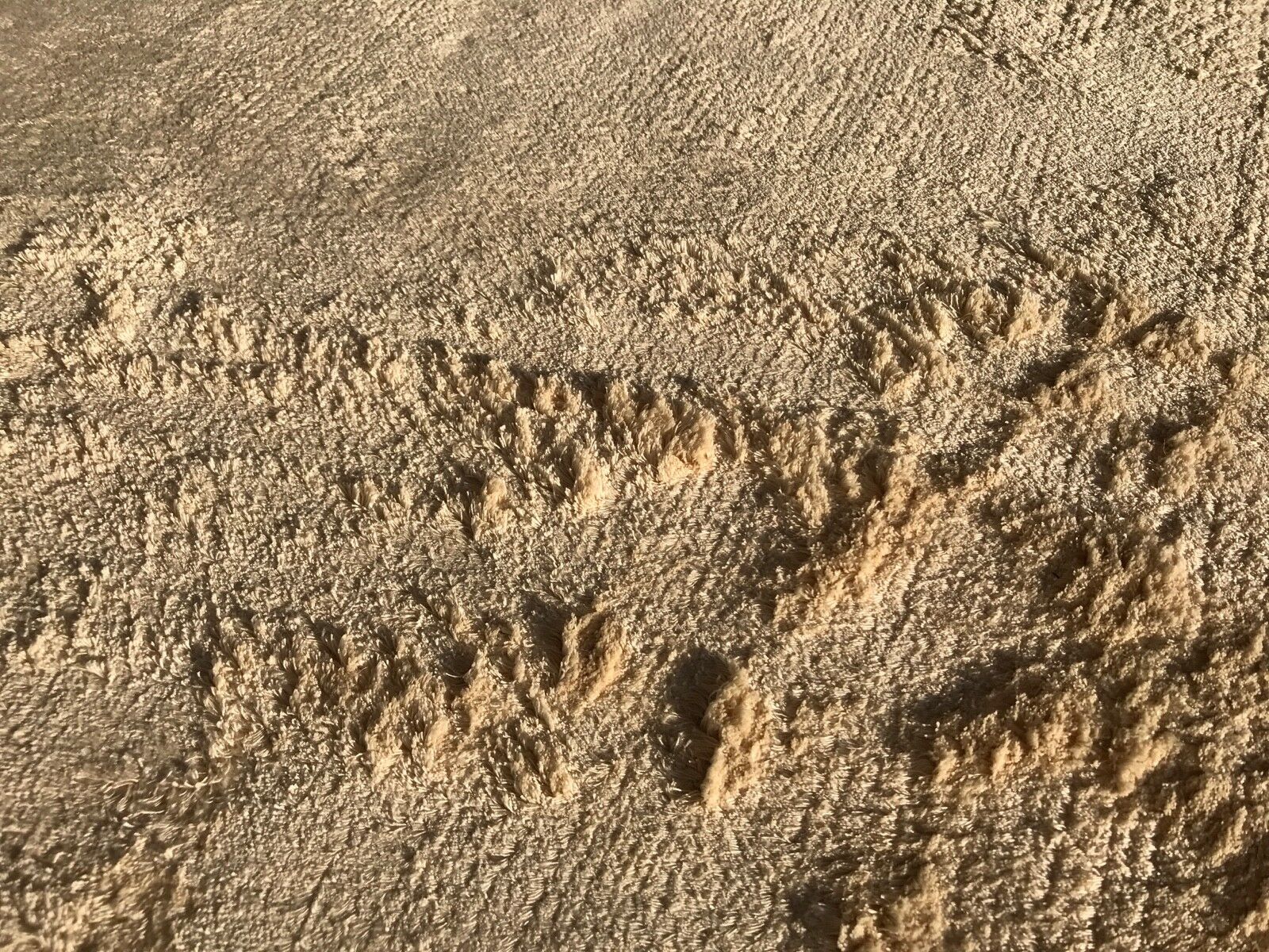 Orientteppich 120X180 CM Beige Teppich Handgewebt Viskose Handarbeit Einfarbig