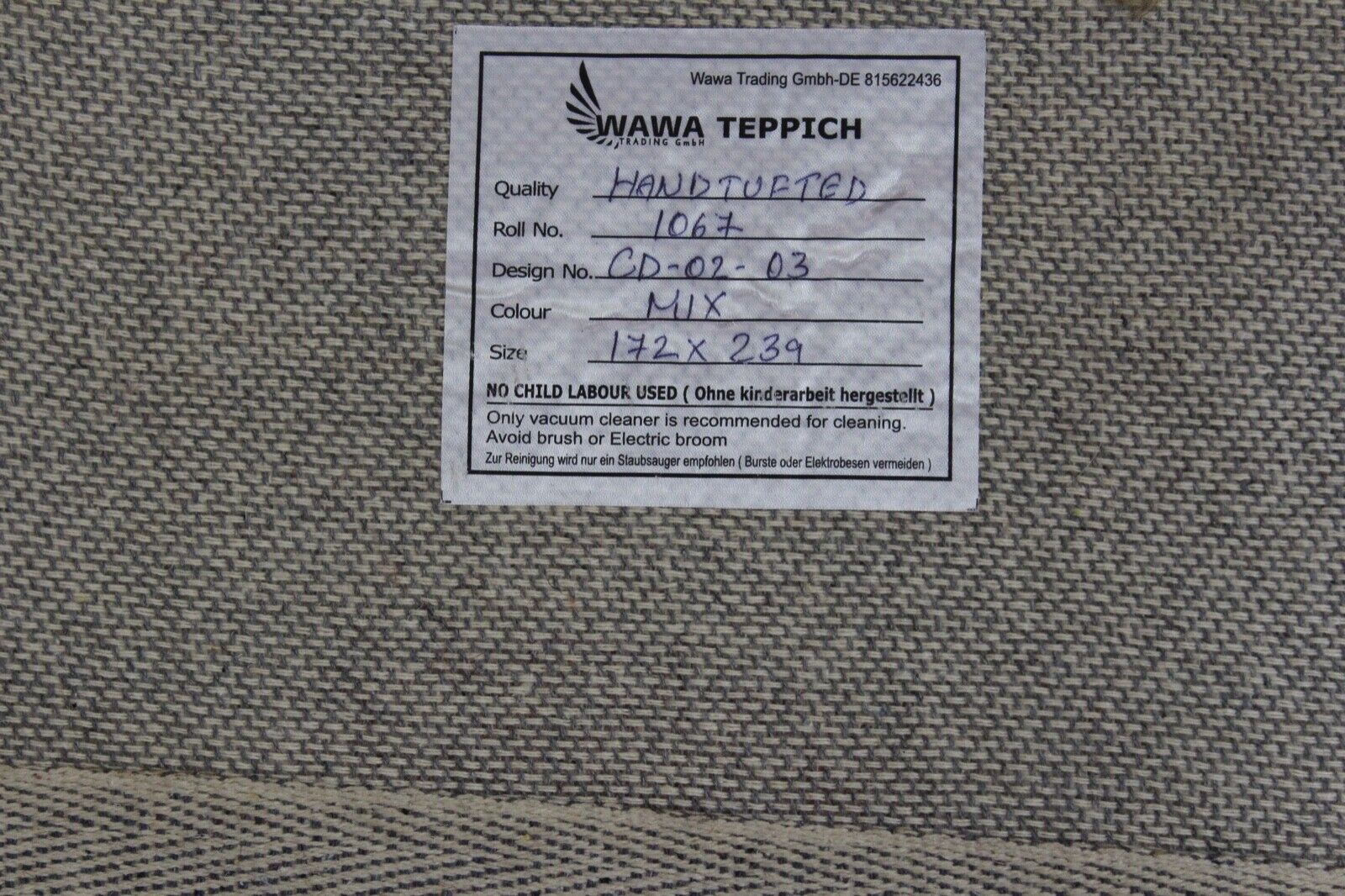 Wohnzimmer Teppich 100% Wolle Beige 170X240 cm Orientteppich Handgewebt CD 2