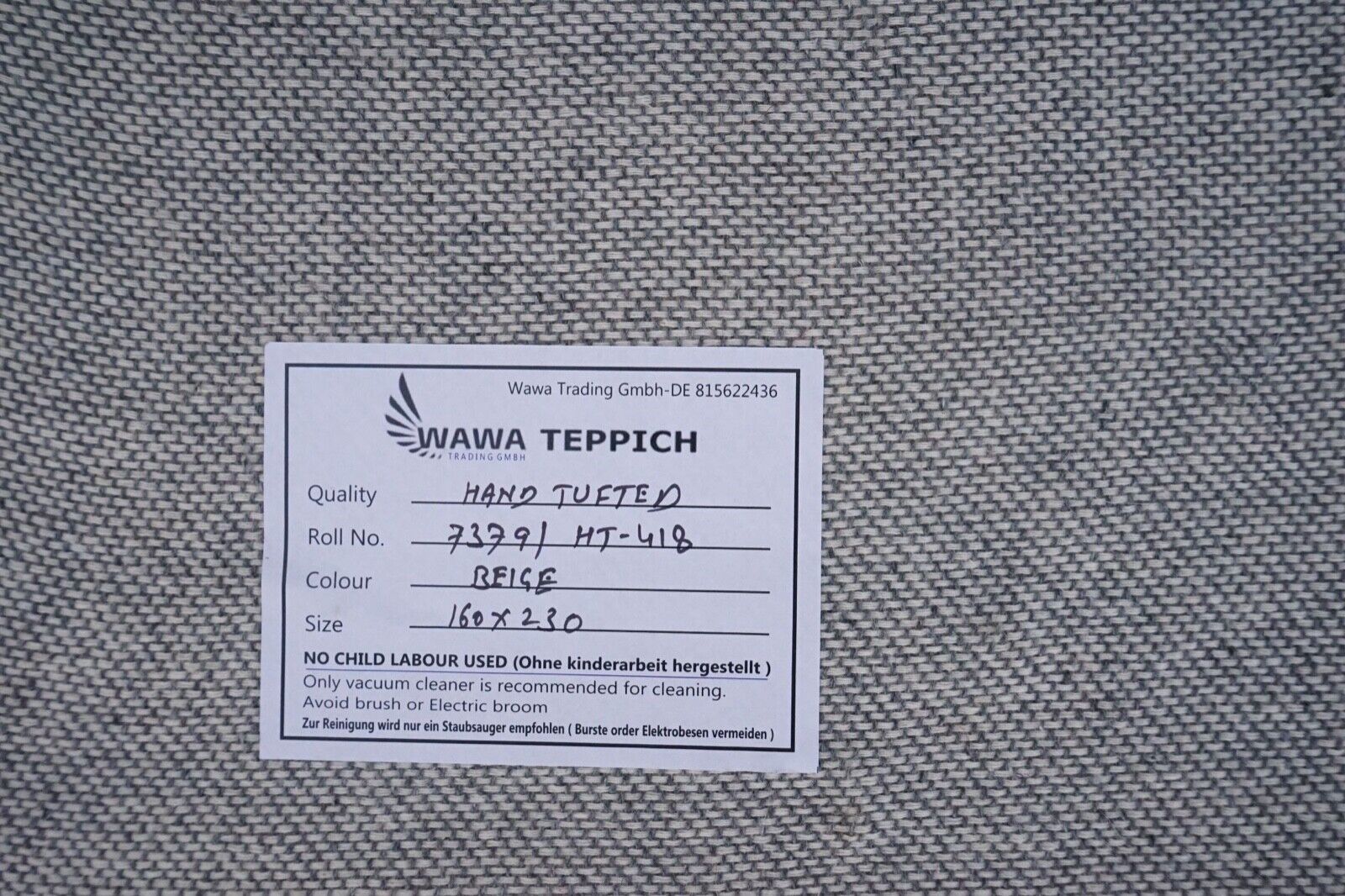Teppich 100% Wolle Beige 160X230 cm Orientteppich Handgetuftet HT418