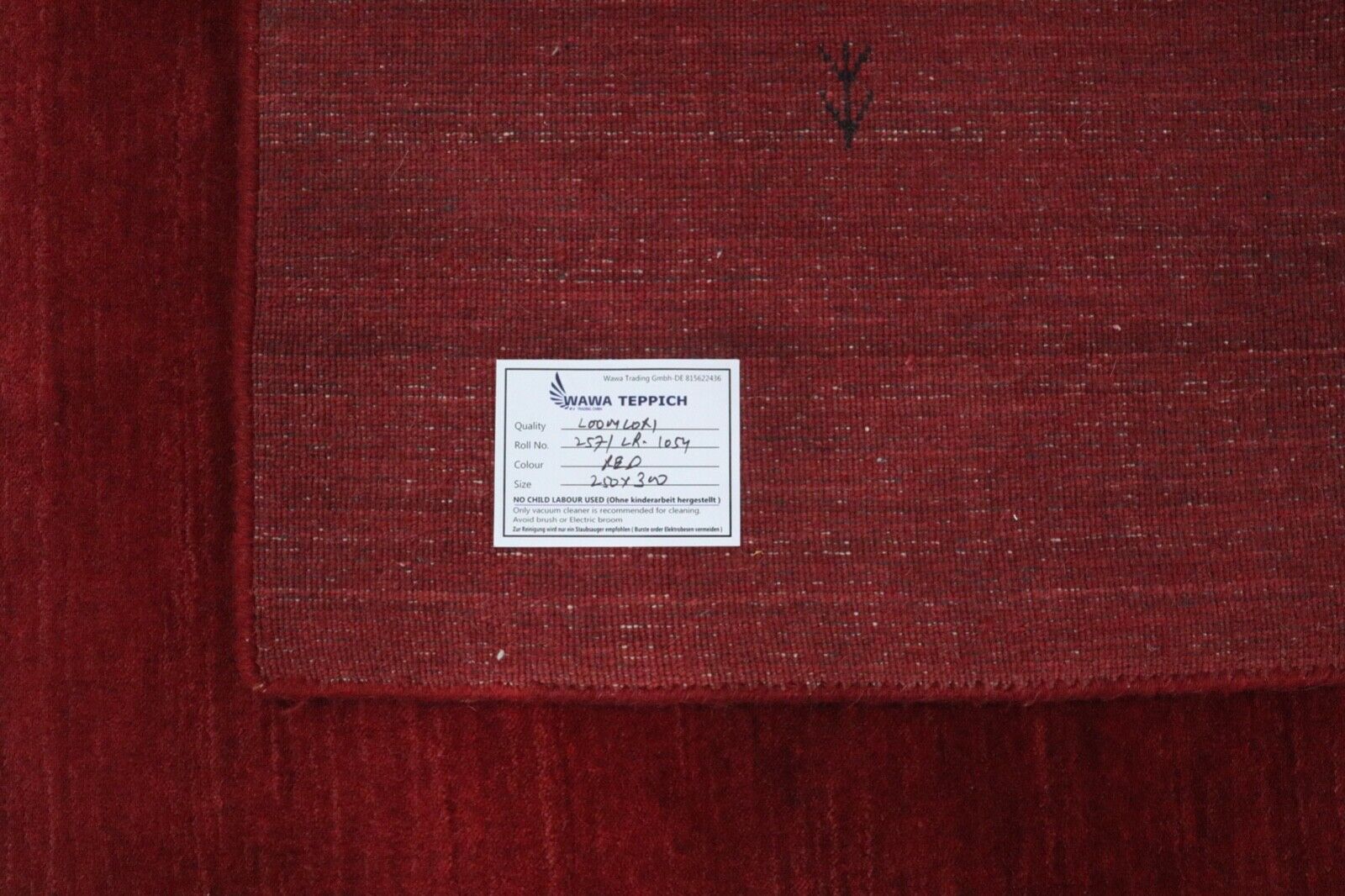 Gabbeh Rot Teppich 100% Wolle 250x300 cm Handgewebt Lori Lr1054