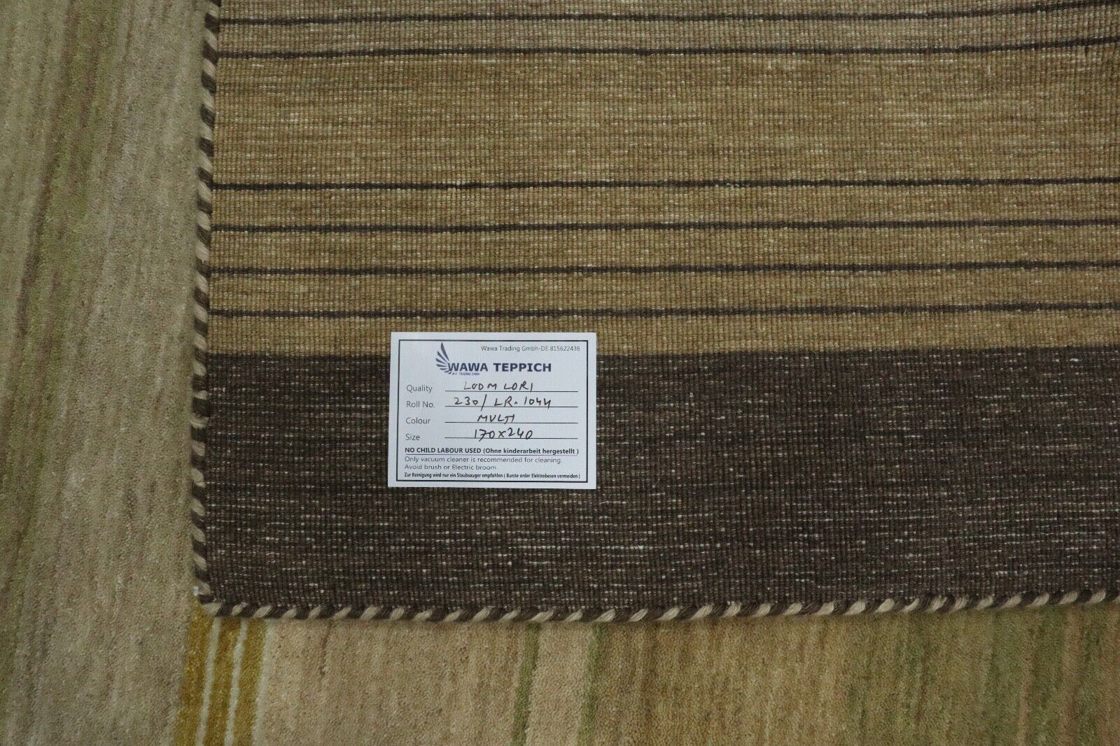 Teppich 100% Wolle 170x240 cm Grün mint Beige Handgewebt Gabbeh LR1044