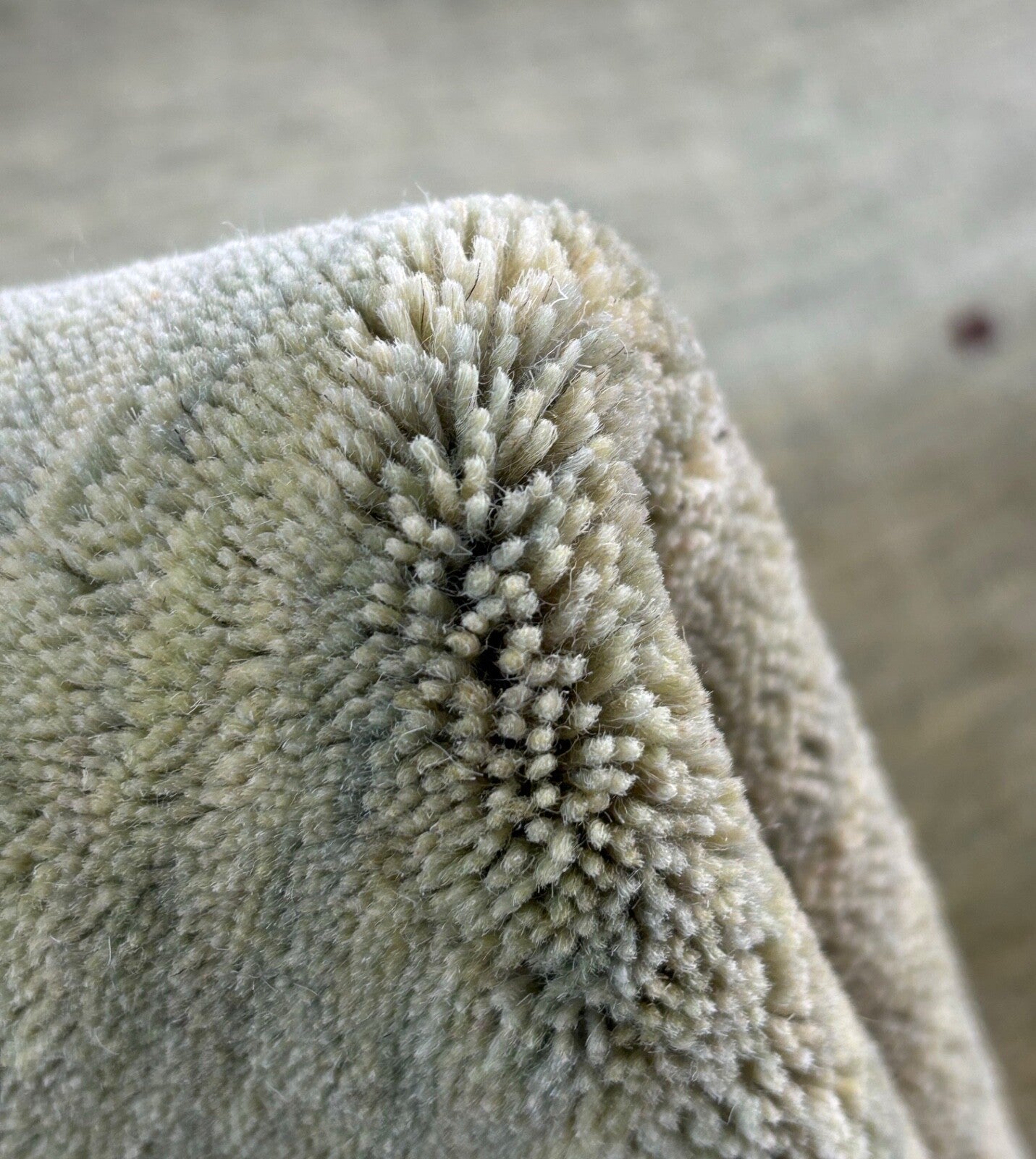 Handgewebter Wollteppich Olivgrün Uni Moderní Teppich aus Wolle 242x300 cm WR129