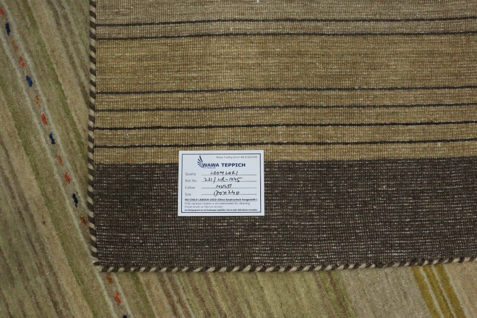 Teppich 100% Wolle 170x240 cm Grün mint Beige Handgewebt Gabbeh LR1045