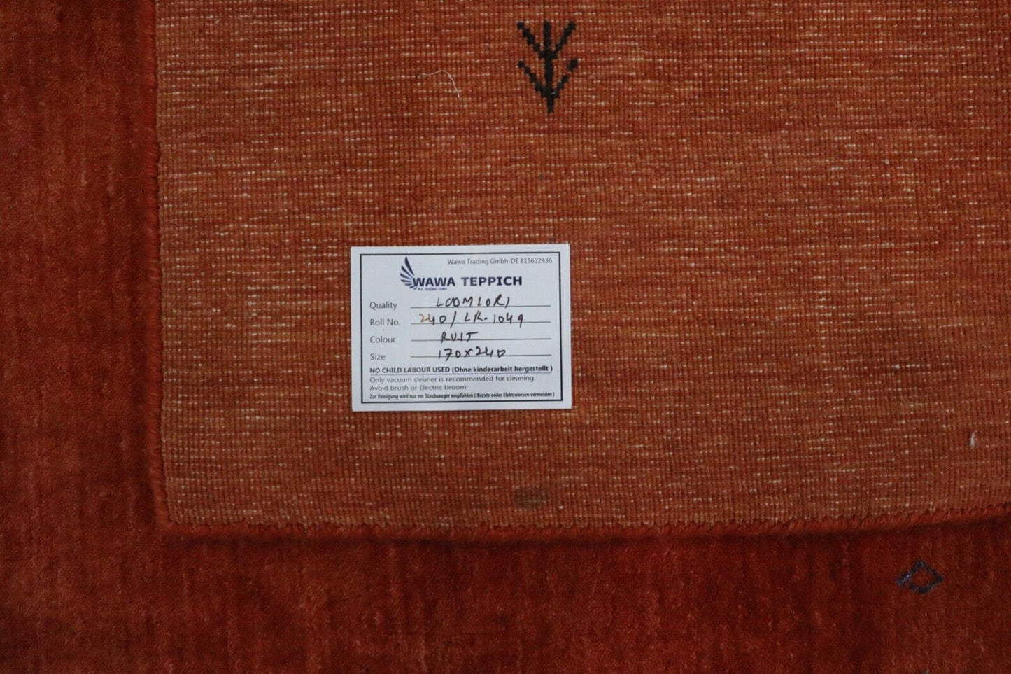 Terrakotta Teppich 100% Wolle 170x240 cm Handgewebt Gabbeh Orientteppich LR1049