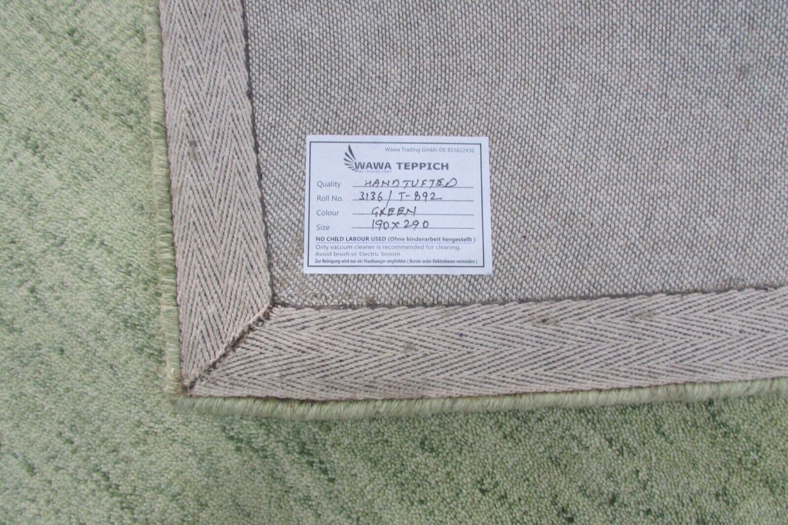 Tapis beige verdâtre, 100 % laine, tufté à la main, 190 x 290 cm, modèle T892 